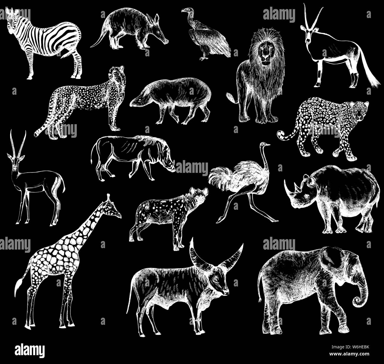 Big set of hand drawn sketch style wild animals isolated on black ...