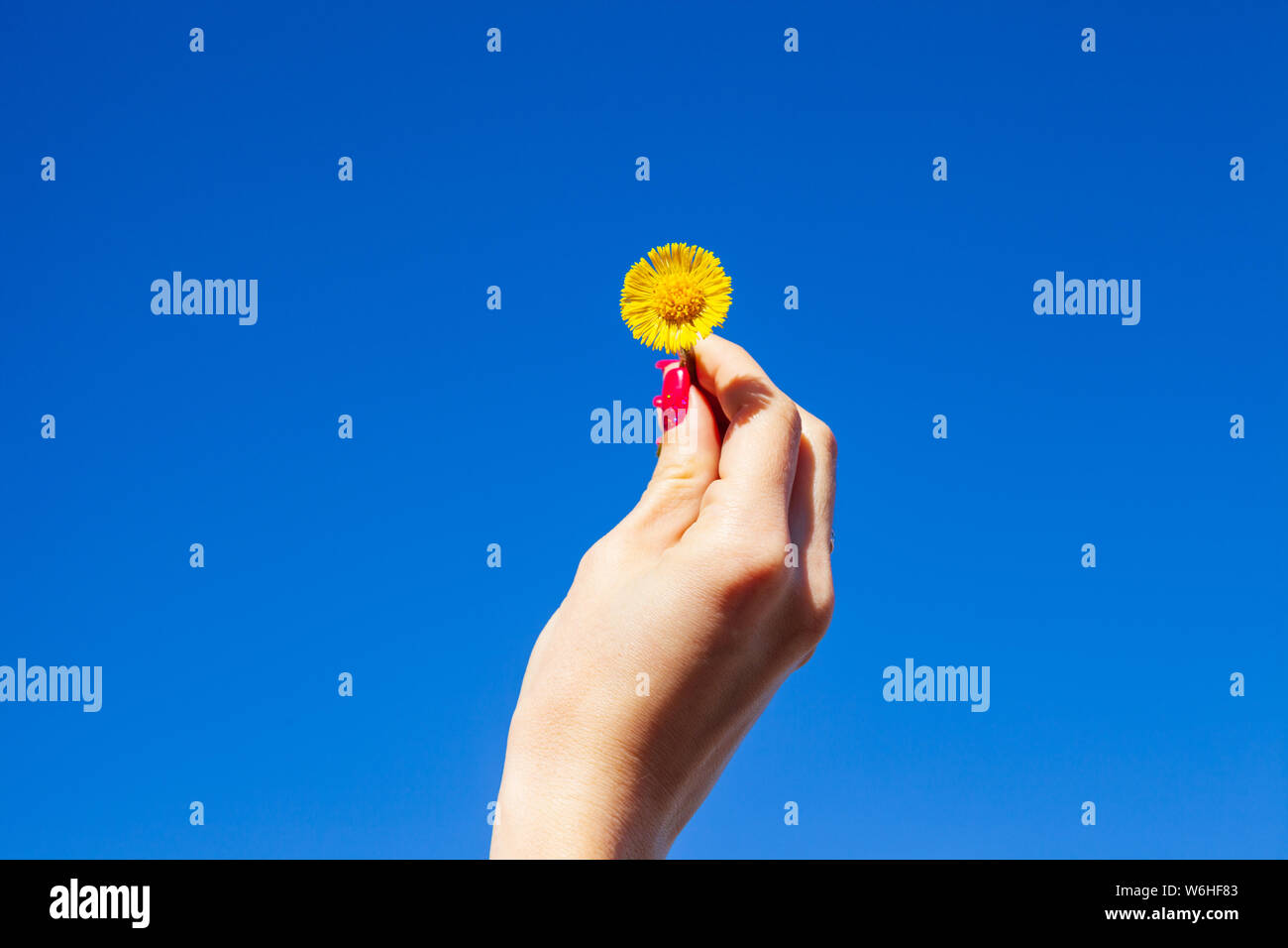 Blue yellow abstract hand hi-res stock photography and images - Alamy