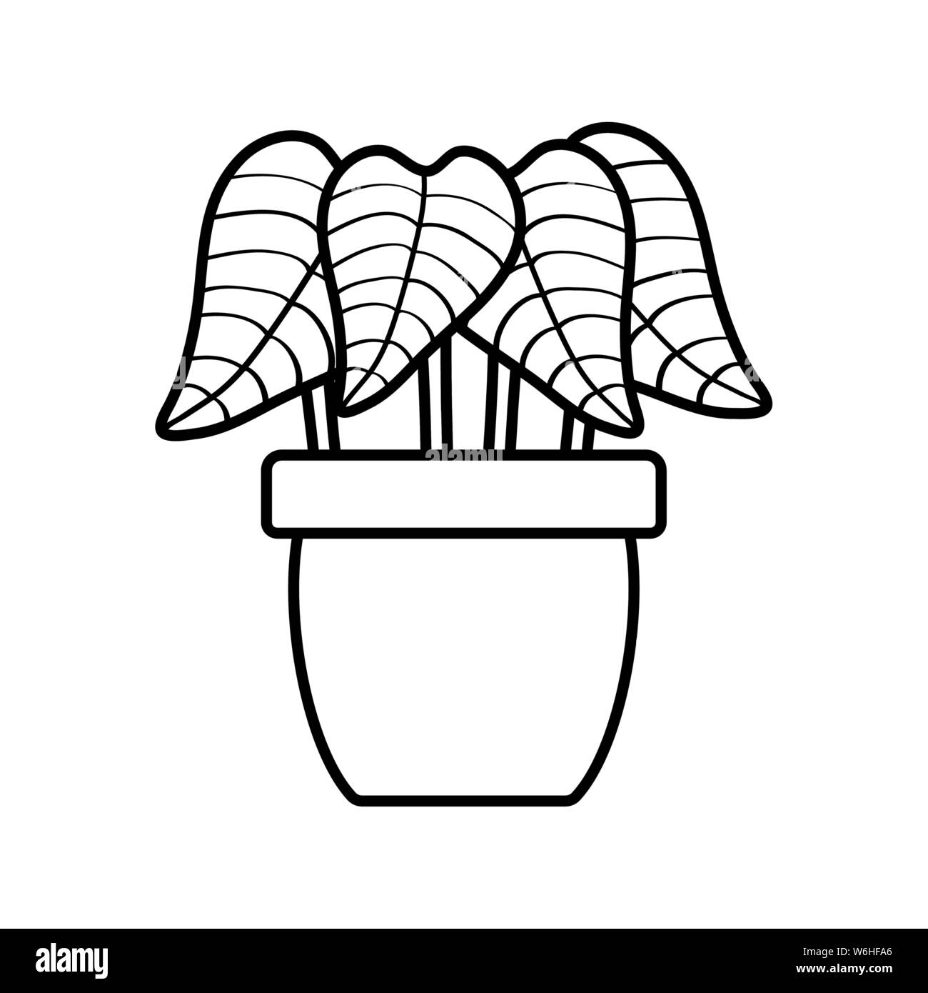 house plant in ceramic pot vector illustration design Stock Vector ...
