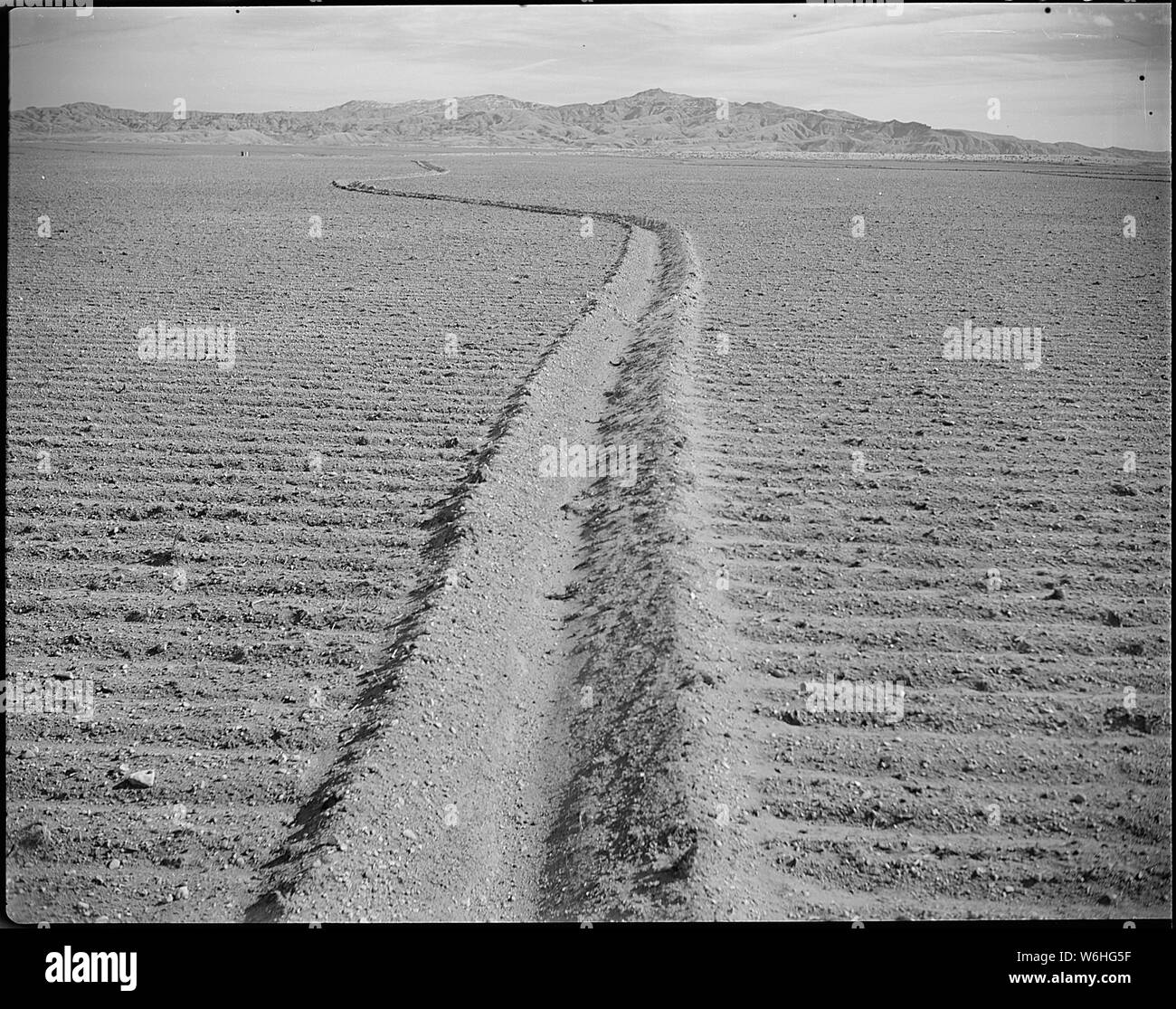 Heart Mountain Relocation Center, Heart Mountain, Wyoming. Land cleared and planted to grain crops. . . .; Scope and content:  The full caption for this photograph reads: Heart Mountain Relocation Center, Heart Mountain, Wyoming. Land cleared and planted to grain crops. This picture shows the contoured irrigation system which is practiced by the Heart Mountain Agriculture Section. This method of irrigation prevents soil erosion. Stock Photo