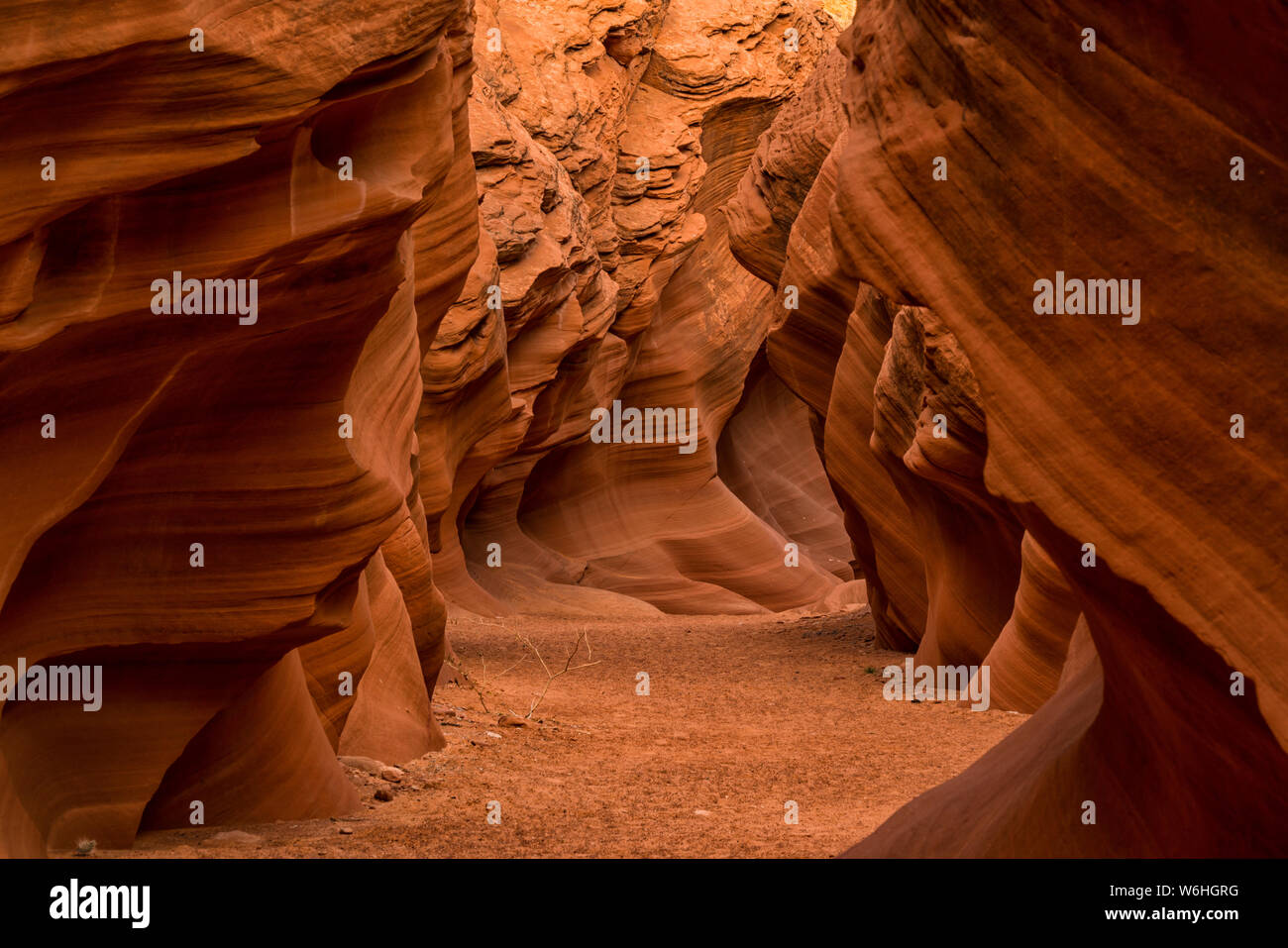 Slot Canyon known as Owl Canyon, near Page; Arizona, United States of