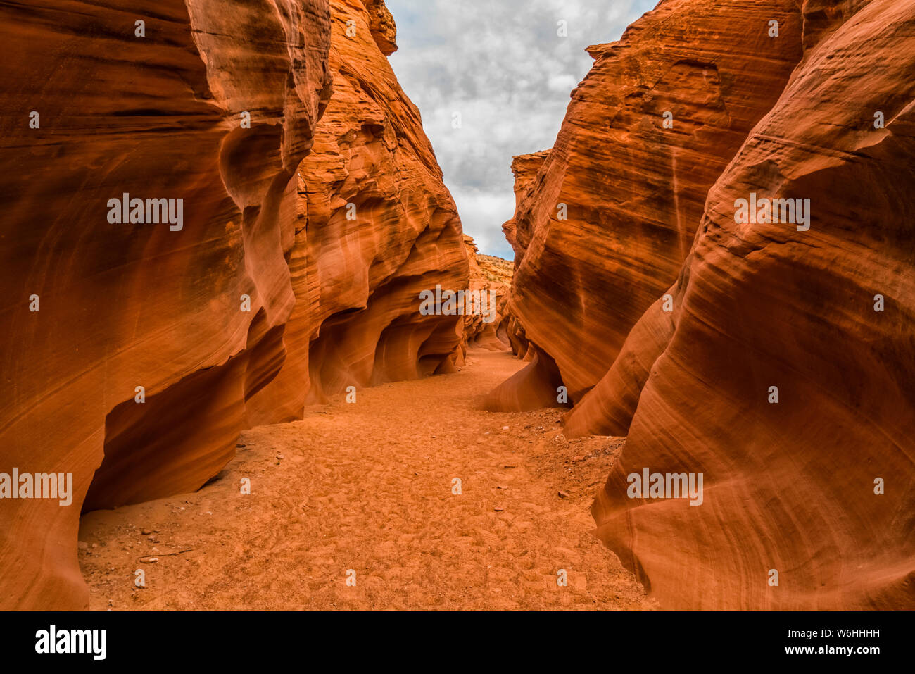 Slot canyon known as Owl Canyon; Page, Arizona, United States of