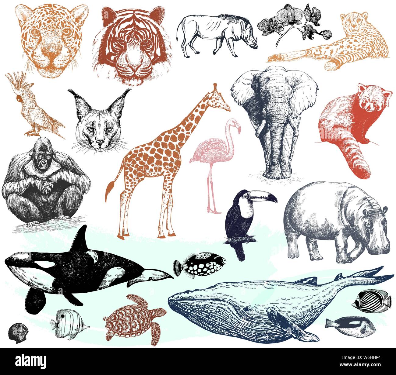 Big set of hand drawn sketch style wild animals isolated on white background. Vector illustration. Stock Vector