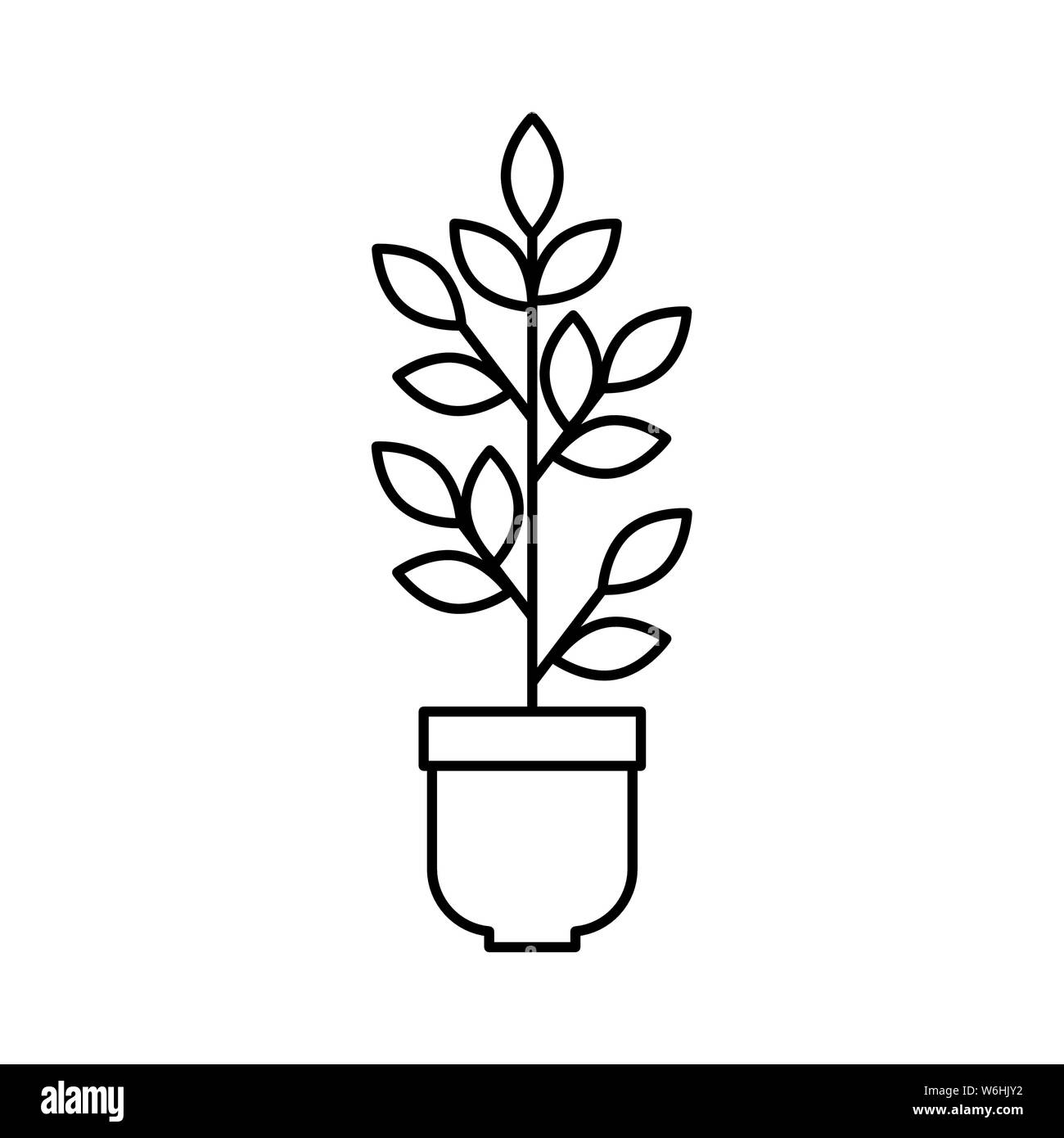 houseplant in pot natural icon Stock Vector Image & Art - Alamy