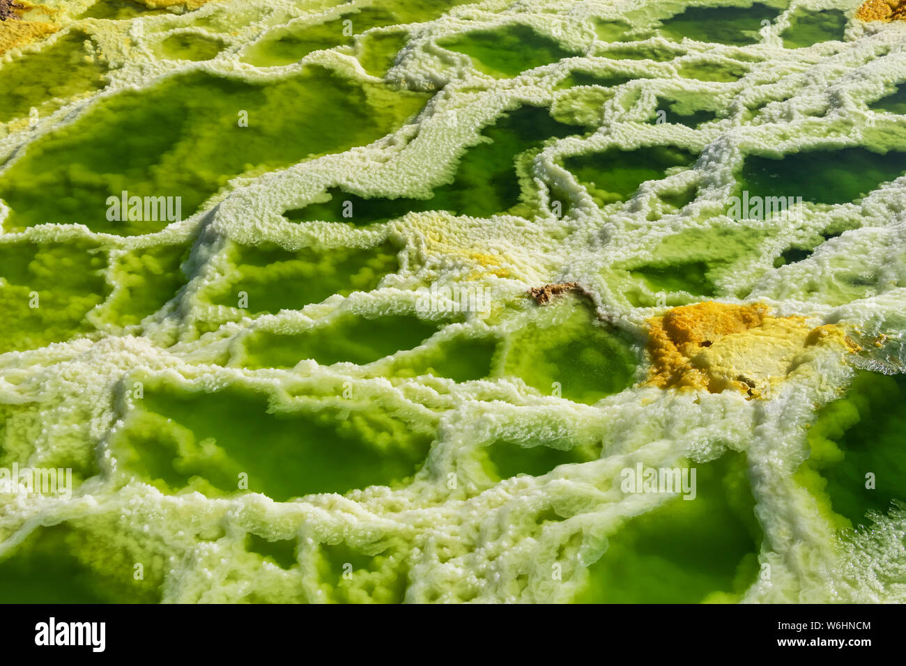 Acidic hot springs and geysers, mineral formations, salt deposits in the crater of Dallol Volcano, Danakil Depression; Afar Region, Ethiopia Stock Photo
