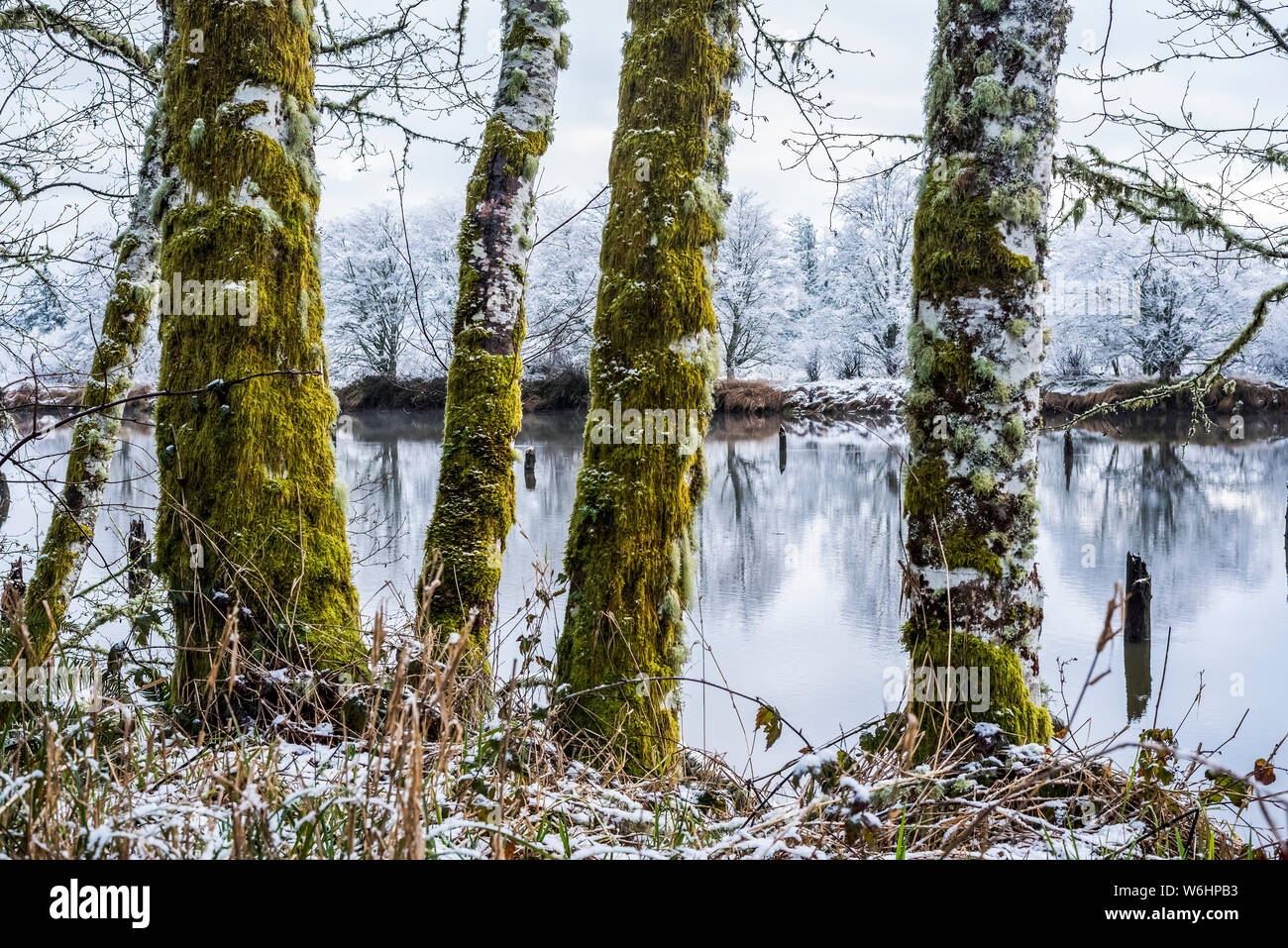 A dusting of snow falls at Lewis and Clark National Historical Park; Astoria, Oregon, United States of America Stock Photo