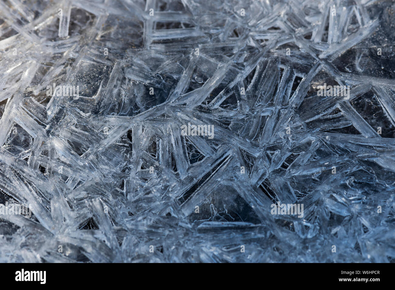 Ice crystals form whimsical patterns during the winter; Astoria, Oregon ...