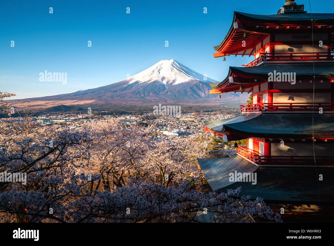Fujiyoshida, Japan at Chureito Pagoda and Mt. Fuji in the spring with cherry blossoms full bloom during sunrise. Travel and Vacation concept. Stock Photo