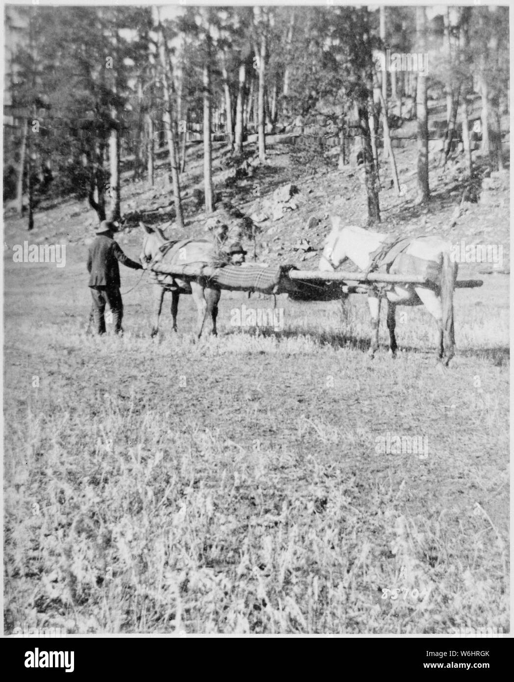 Horse drawn stretcher carrying a wounded man from the Battle of Slim Buttes, Dak. Terr. By