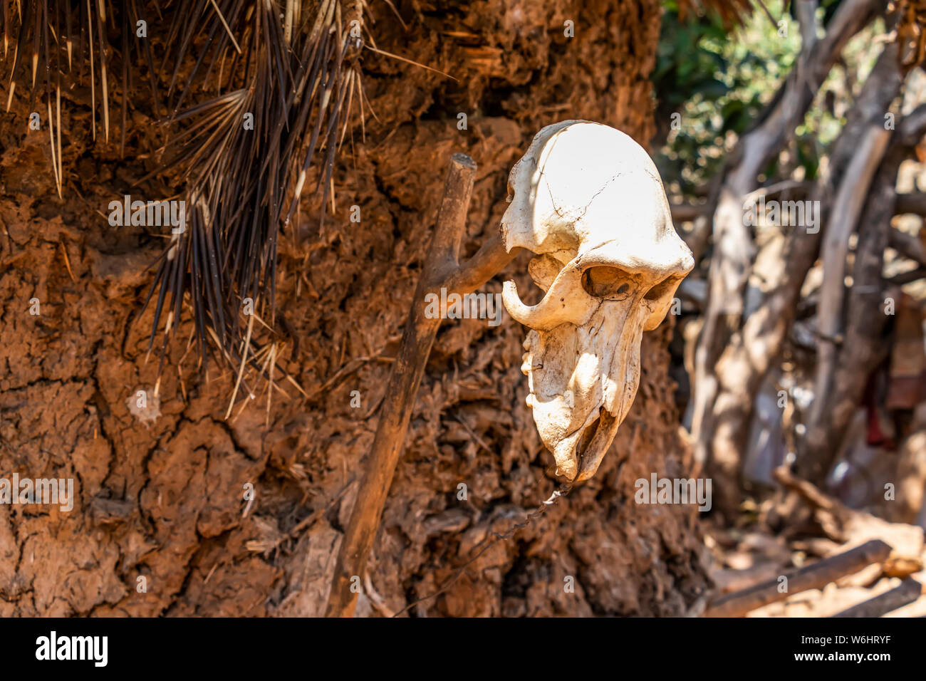 Animal skulls on a mud hut; Karat-Konso, Ethiopia Stock Photo