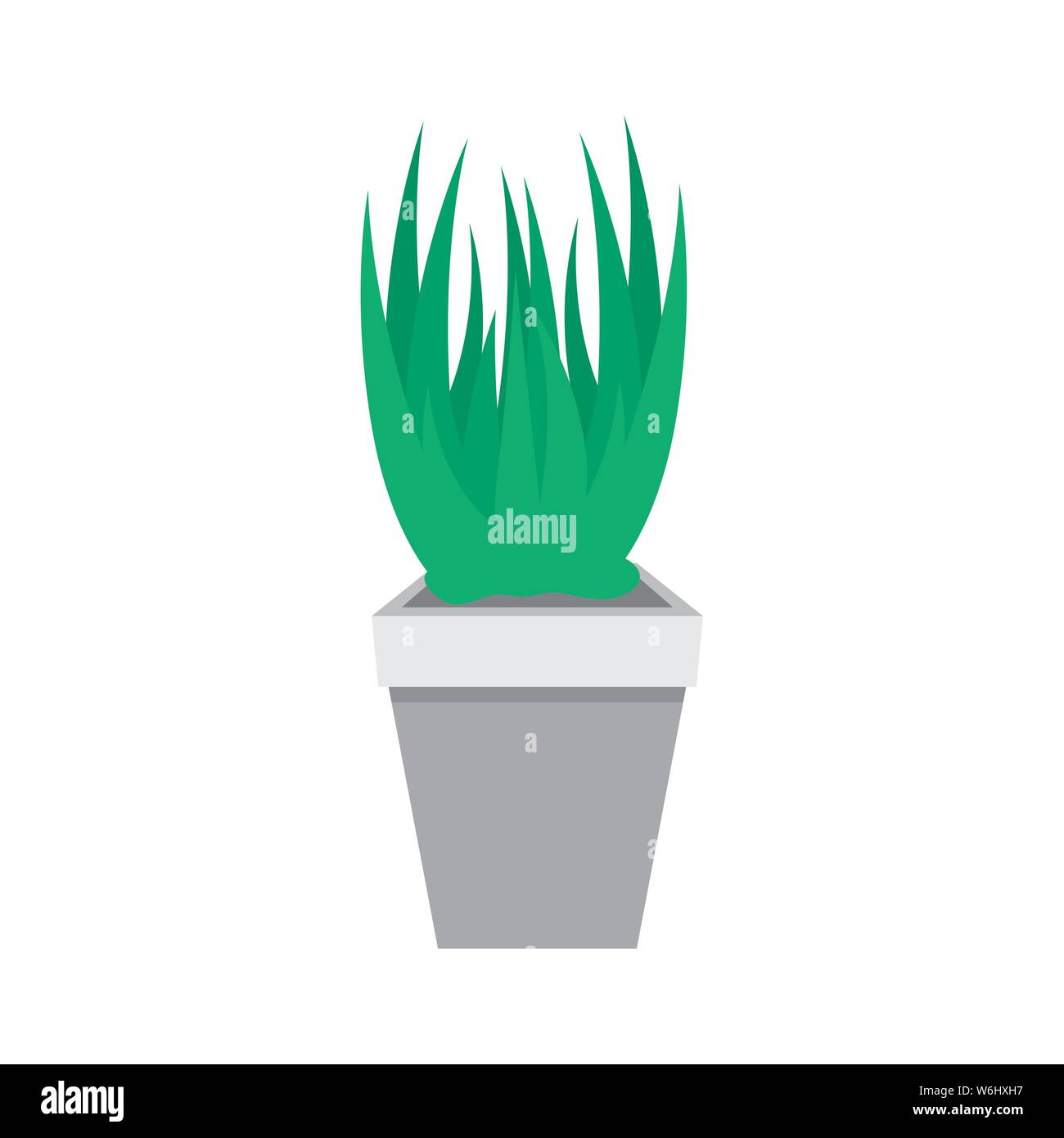 houseplant in pot natural icon Stock Vector Image & Art - Alamy