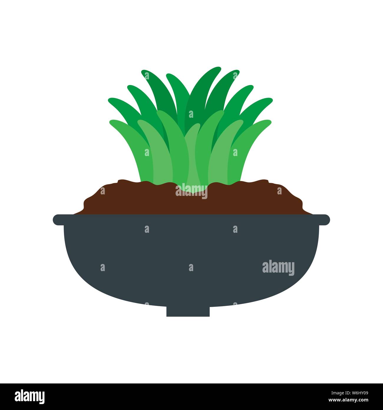 houseplant in pot natural icon Stock Vector Image & Art - Alamy