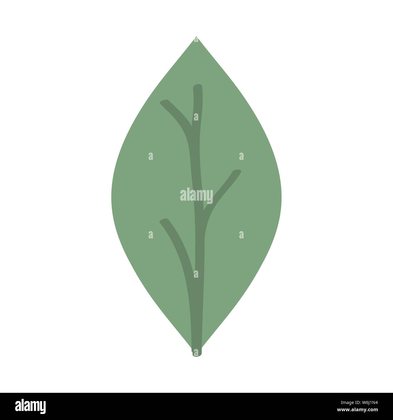 leaf plant garden nature icon vector illustration design Stock Vector ...