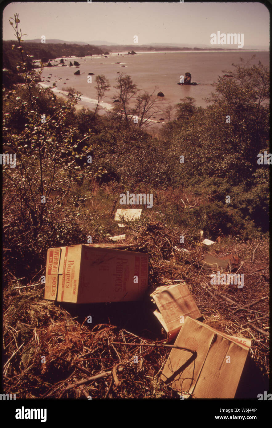 LITTER MARS THIS GLIMPSE OF SHORELINE Stock Photo Alamy