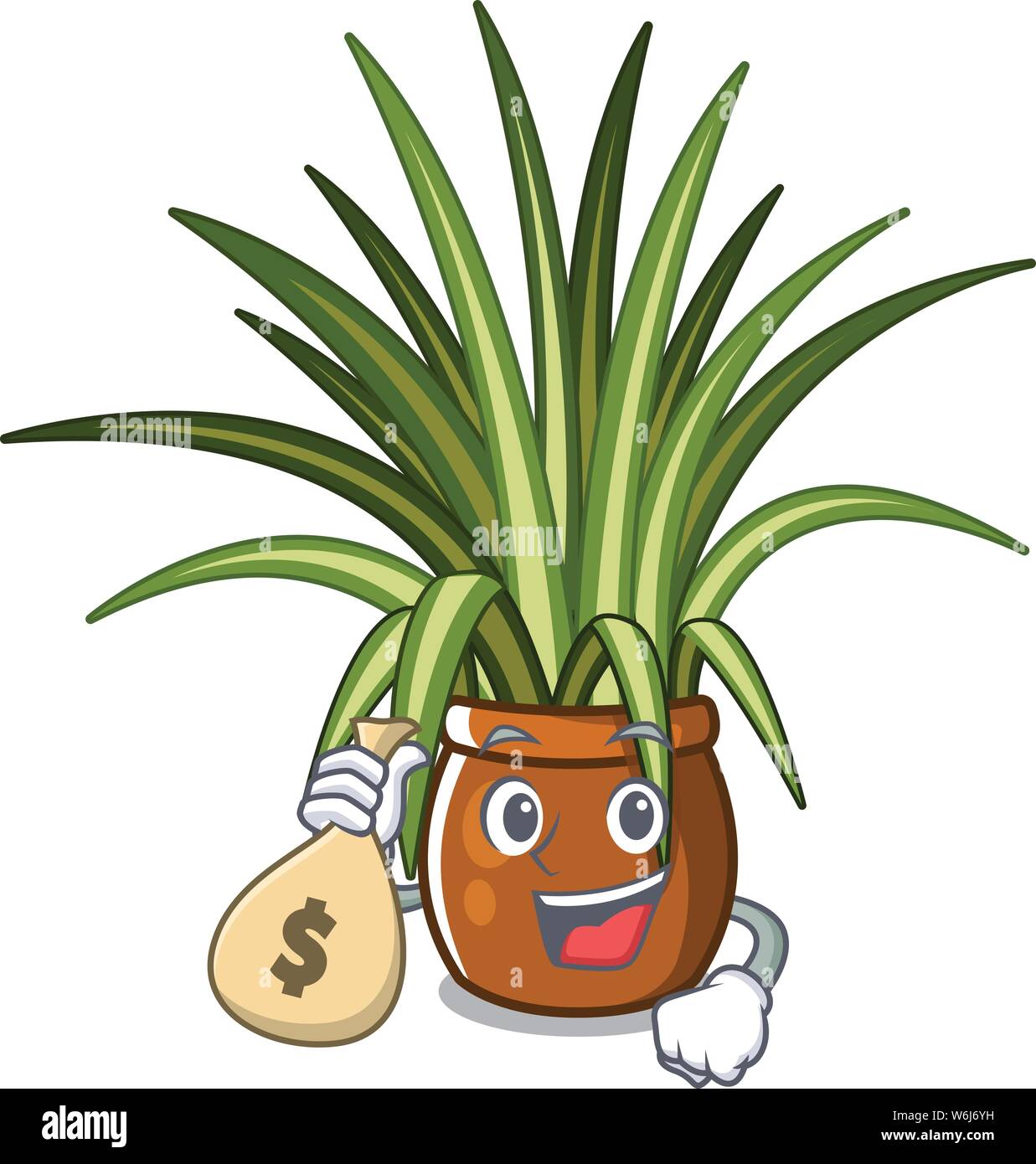 Spider Plant Light Needs