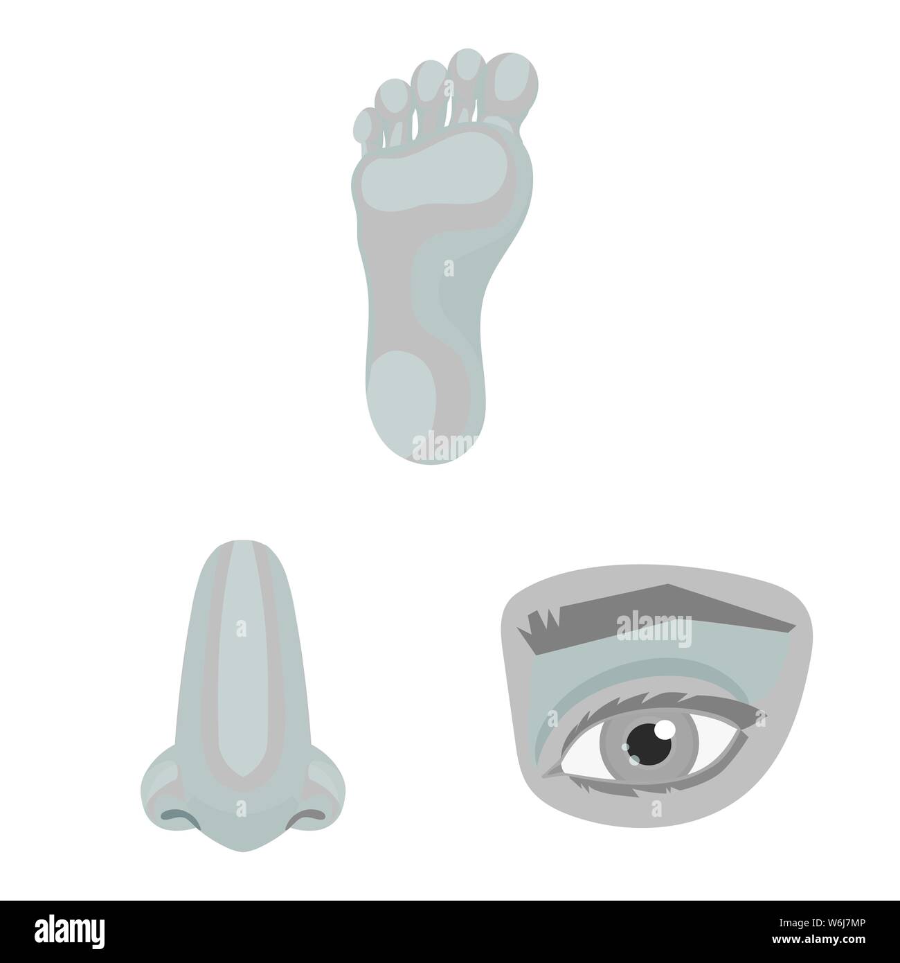 Isolated object of body and part symbol. Collection of body and anatomy ...