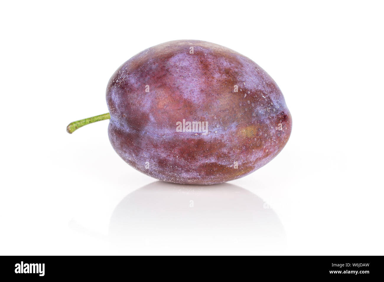 One whole fresh blue plum isolated on white background Stock Photo