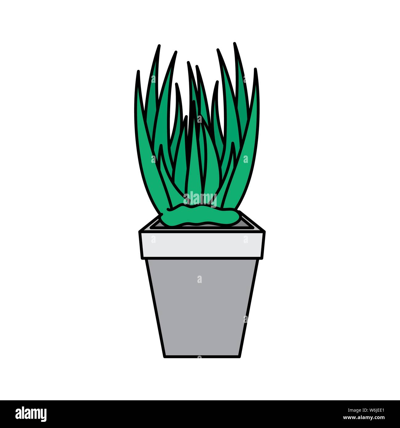 houseplant in pot natural icon Stock Vector Image & Art - Alamy