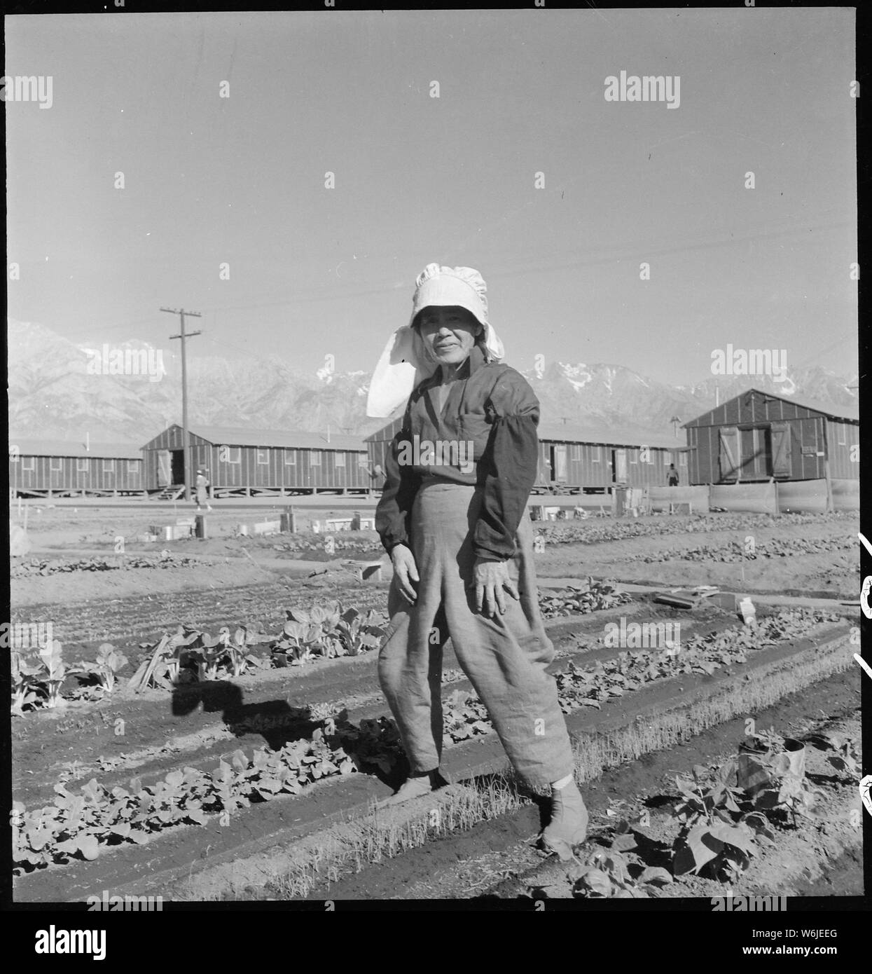 Manzanar Relocation Center, Manzanar, California. Evacuee in her hobby garden which rates highest . . .; Scope and content:  The full caption for this photograph reads: Manzanar Relocation Center, Manzanar, California. Evacuee in her hobby garden which rates highest of all the garden plots at this War Relocation Authority center. Vegetables for their own use are grown in plots 10 x 50 feet between barrack rows. Stock Photo