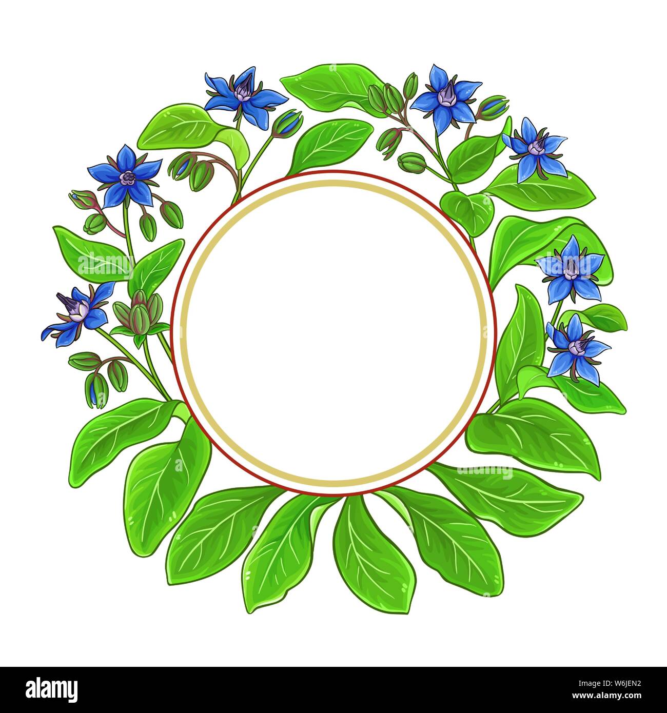 borage vector frame on white background Stock Vector