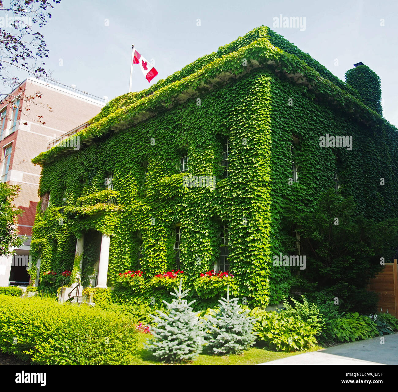 Building in Toronto Canada covered in greenery. Vertical garden. Plants. Greenery. Stock Photo