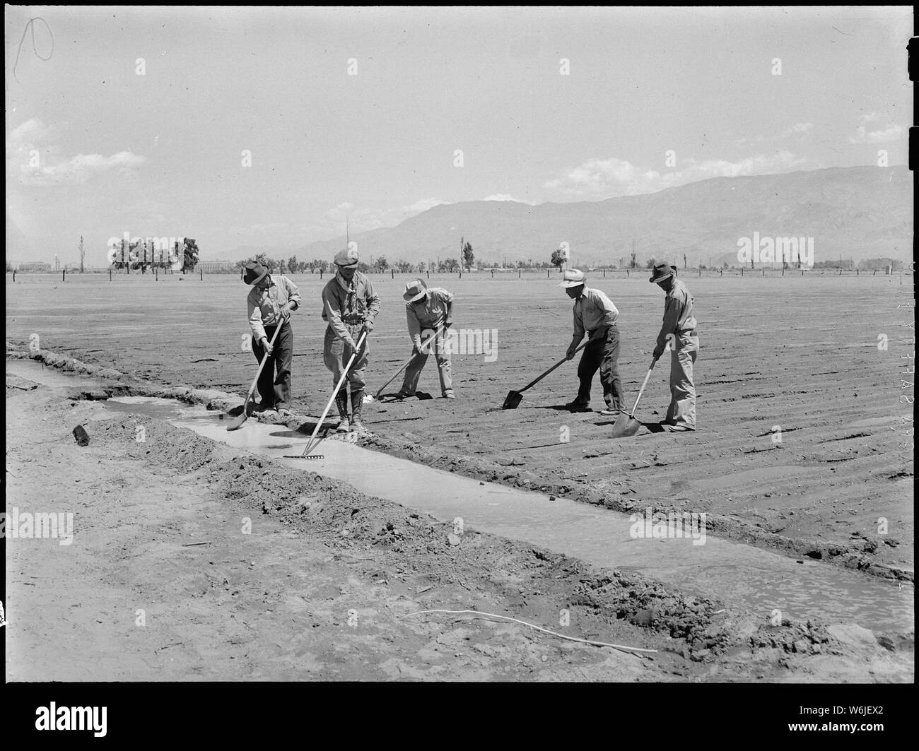 Manzanar Relocation Center, Manzanar, California. Irrigation recently planted onion field at the re . . .; Scope and content:  The full caption for this photograph reads: Manzanar Relocation Center, Manzanar, California. Irrigation recently planted onion field at the relocation center. Stock Photo