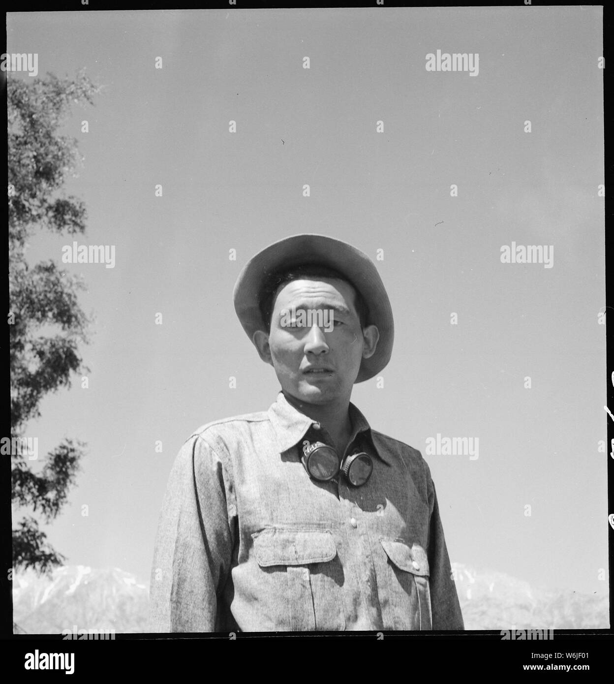 Manzanar Relocation Center, Manzanar, California. Johnny Fukazawa, foreman of fields Numbers 3, 4, . . .; Scope and content:  The full caption for this photograph reads: Manzanar Relocation Center, Manzanar, California. Johnny Fukazawa, foreman of fields Numbers 3, 4, 5, and 6, heading a 20-man field crew on the farm project, says there are many problems they have to solve in their agricultural work at this War Relocation Authority center for evacuees of Japanese ancestry. Stock Photo