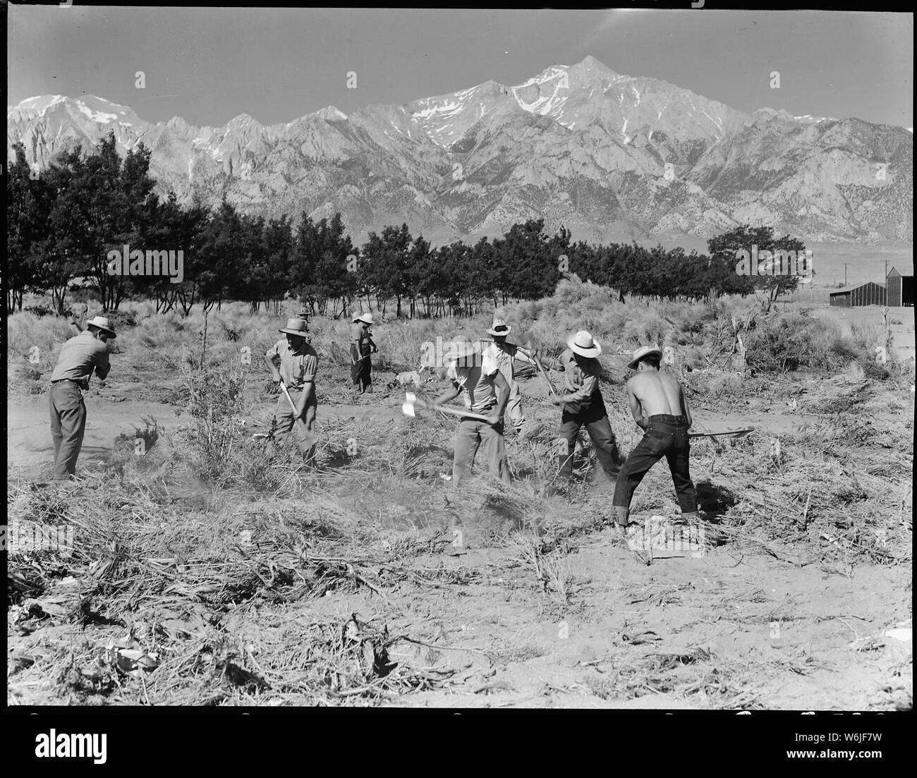 Manzanar Relocation Center, Manzanar, California. More land is being cleared at the southern end of . . .; Scope and content:  The full caption for this photograph reads: Manzanar Relocation Center, Manzanar, California. More land is being cleared at the southern end of the project at this War Relocation Authority center for evacuees of Japanese ancestry. Mount Whitney, the highest peak in the United States, is in the range of mountains in the background. Stock Photo