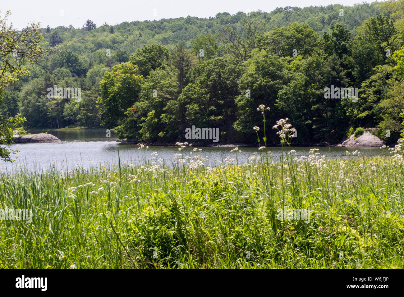 Coastline of Blue Hill, Maine Stock Photo Alamy