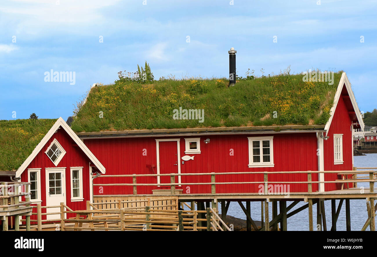 Typical Norwegian red fishing huts (rorbu) with green grass roof in town of Reine on Lofoten Islands in Norway Stock Photo