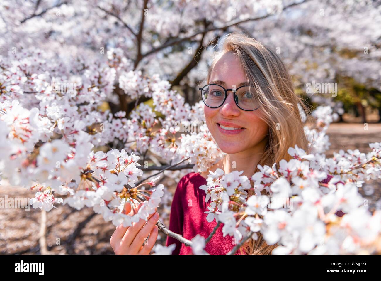 Portrait, Young woman between blooming cherry blossoms, Japanese cherry blossom in spring, Tokyo, Japan Stock Photo