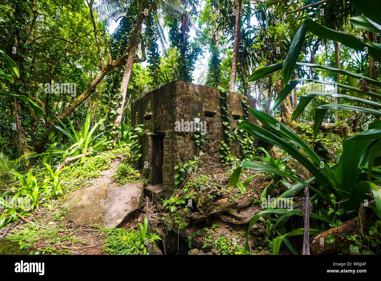 Japanese bunker overgrown from the jungle, Kavieng, New Ireland, Papua New Guinea Stock Photo