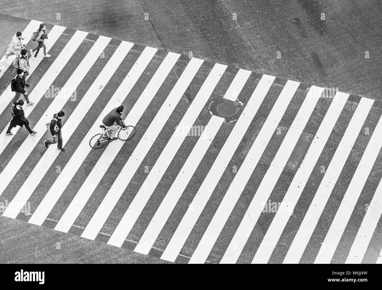 Shibuya Crossing, crossroad, people and cyclists cross zebra crossing, black and white, Shibuya, Udagawacho, Tokyo, Japan Stock Photo