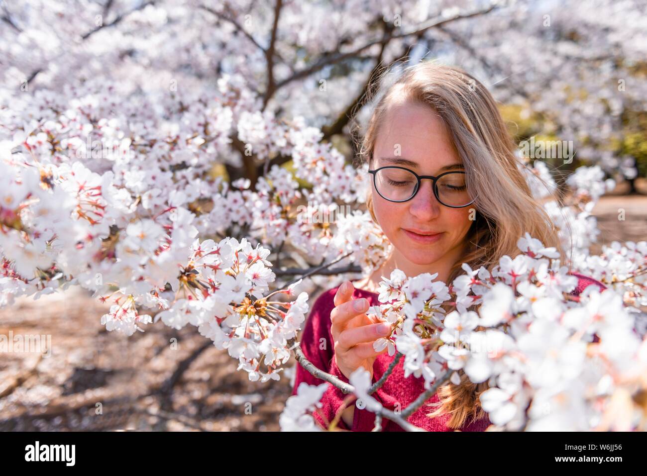 Portrait, Young woman between blooming cherry blossoms, Japanese cherry blossom in spring, Tokyo, Japan Stock Photo