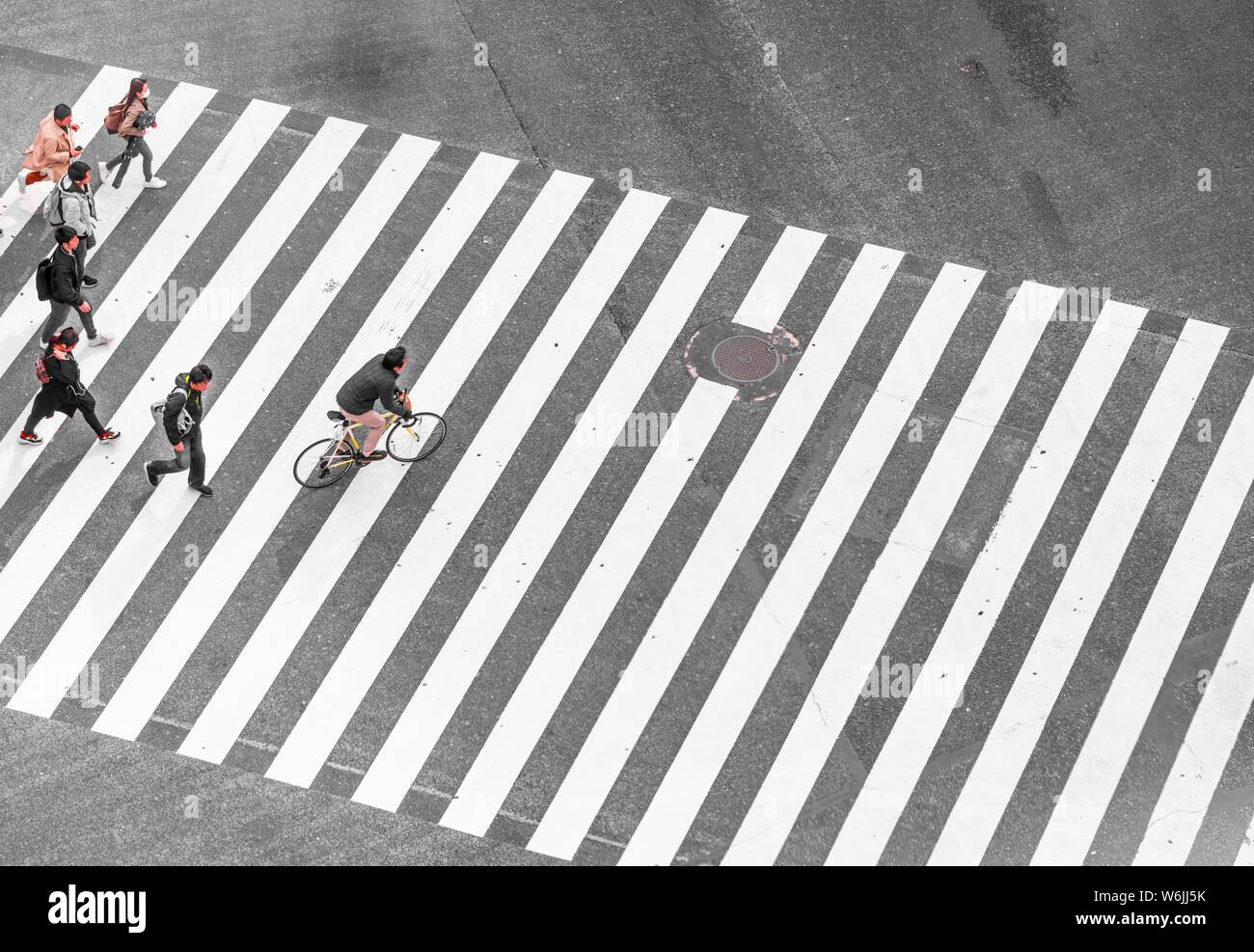 Shibuya Crossing, crossroads, pedestrians and cyclists cross zebra crossing, Shibuya, Udagawacho, Tokyo, Japan Stock Photo