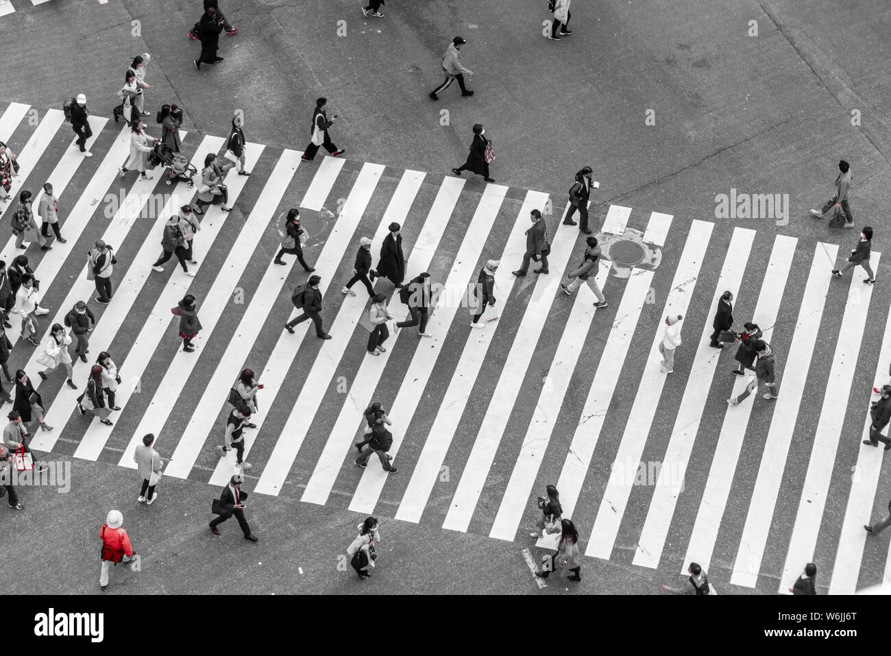 Single red person crosses, Shibuya crossing, crowds at intersection, many people crossing crosswalk, black and white, Shibuya, Udagawacho, Tokyo Stock Photo