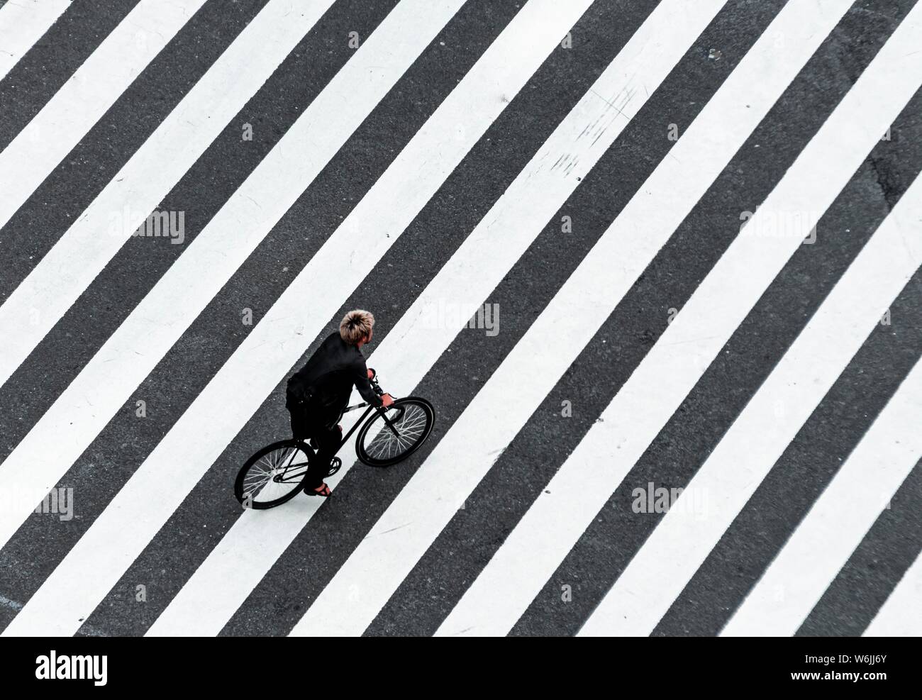 Shibuya Crossing, Single Bicycle Crosses Crosswalk, Shibuya, Udagawacho, Tokyo, Japan Stock Photo