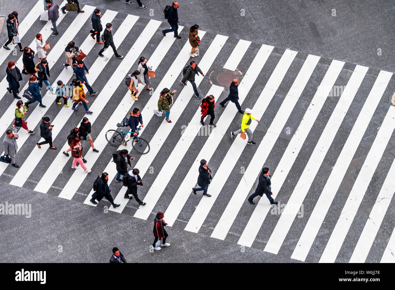 Shibuya crossing, crowds at intersection, many pedestrians and cyclists cross zebra crossing, Shibuya, Udagawacho, Tokyo, Japan Stock Photo