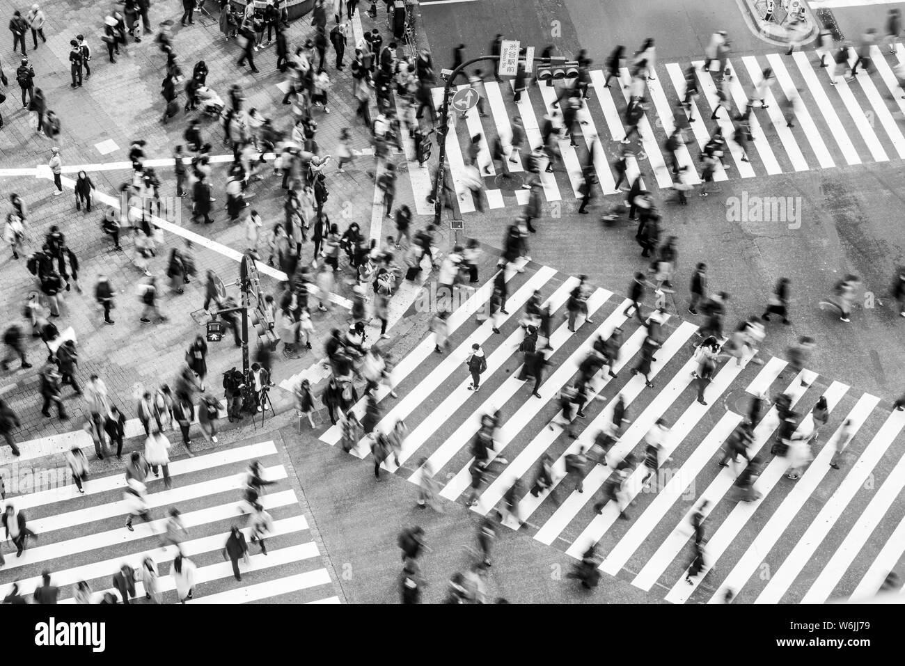 Shibuya crossing, crowds at intersection, many people cross zebra crossing, blurred, motion, black and white, Shibuya, Udagawacho, Tokyo, Japan Stock Photo