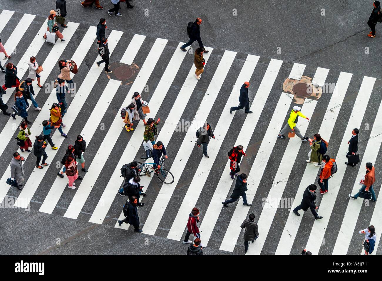 Shibuya crossing, crowds at intersection, many pedestrians and cyclists cross zebra crossing, Shibuya, Udagawacho, Tokyo, Japan Stock Photo