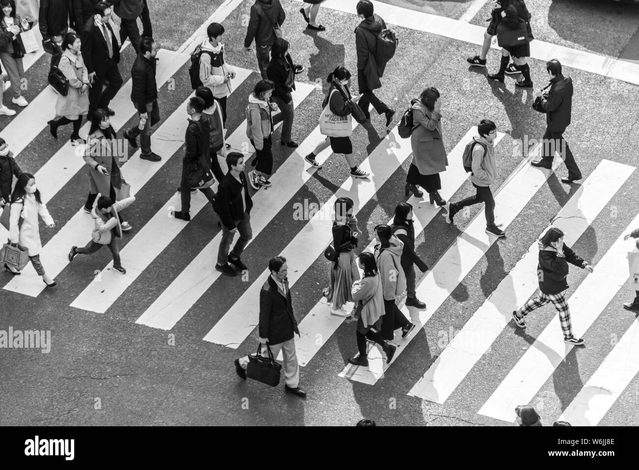 Shibuya crossing, crowds at intersection, many people cross zebra crossing, black and white, Shibuya, Udagawacho, Tokyo, Japan Stock Photo