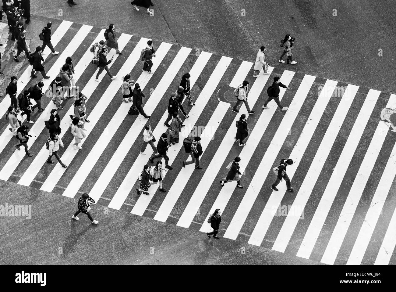 Shibuya crossing, crowds at intersection, many people cross zebra crossing, black and white, Shibuya, Udagawacho, Tokyo, Japan Stock Photo