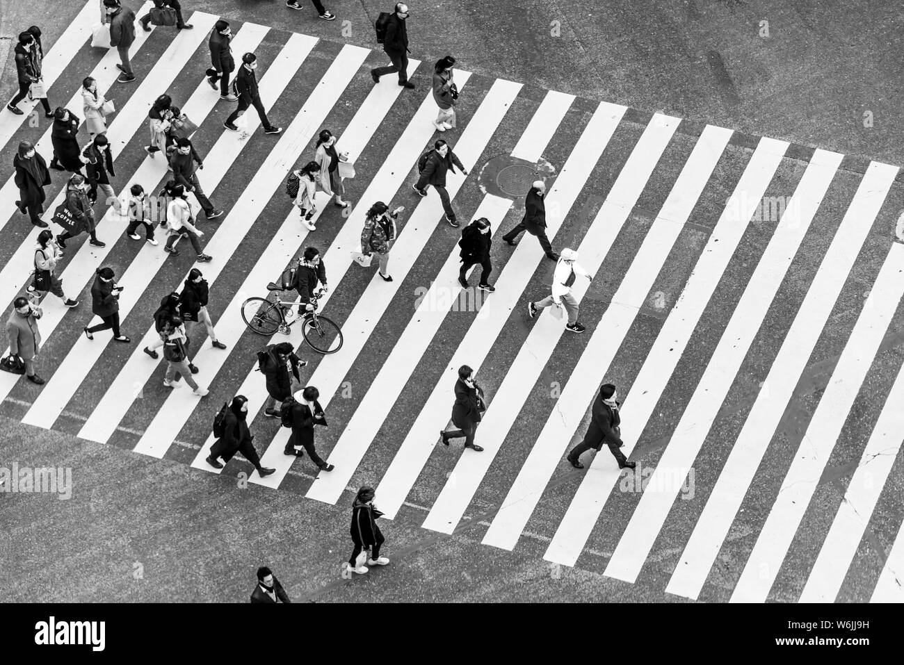 Shibuya crossing, crowds at intersection, many people and cyclists cross zebra crossing, black and white, Shibuya, Udagawacho, Tokyo, Japan Stock Photo