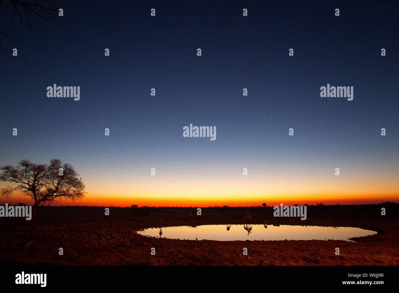 Savanna waterhole sunset hi-res stock photography and images - Alamy