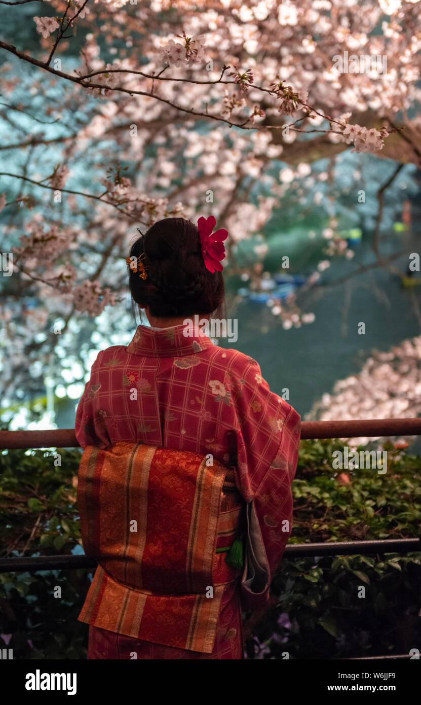 Japanese woman with kimono under blossoming cherry foams at night, Japanese cherry blossom in spring, Hanami Fest, Chidorigafuchi Green Way, Tokyo Stock Photo