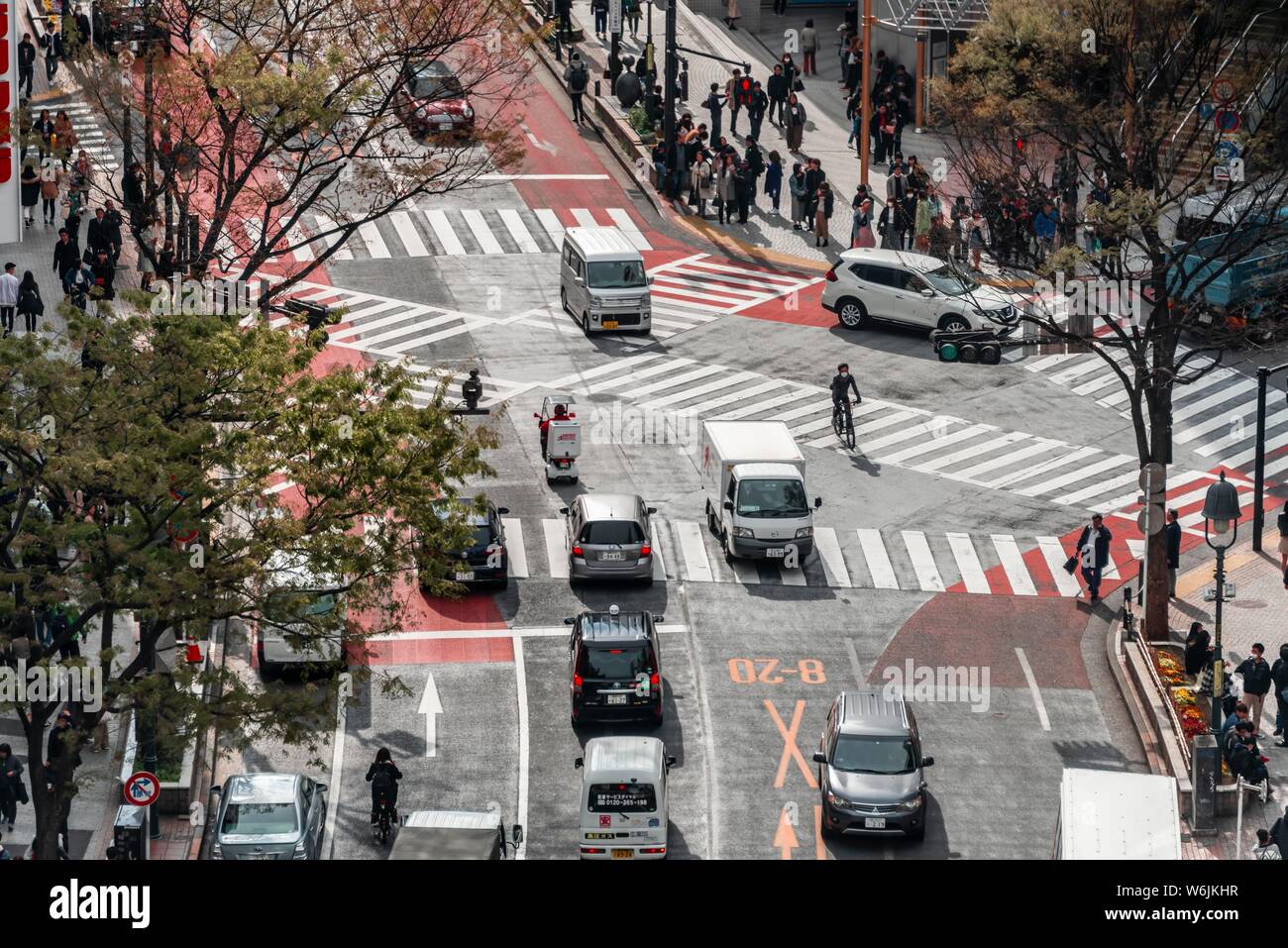 Intersection from above, car traffic at zebra crossing at intersection, Bunkamura-Dori, Shibuya, Udagawacho, Tokyo, Japan Stock Photo