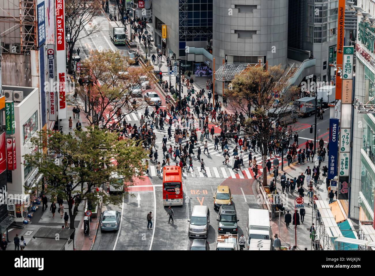 Crossing from above, crowds of people crossing zebra crossings at crossing, Bunkamura-Dori, Shibuya, Udagawacho, Tokyo, Japan Stock Photo