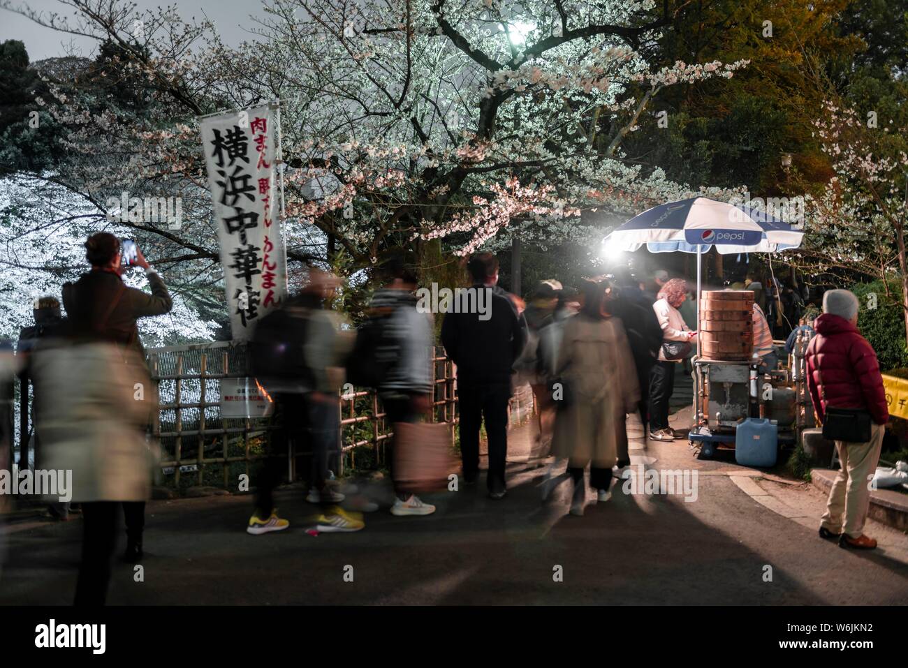 cherry blossom foamposites
