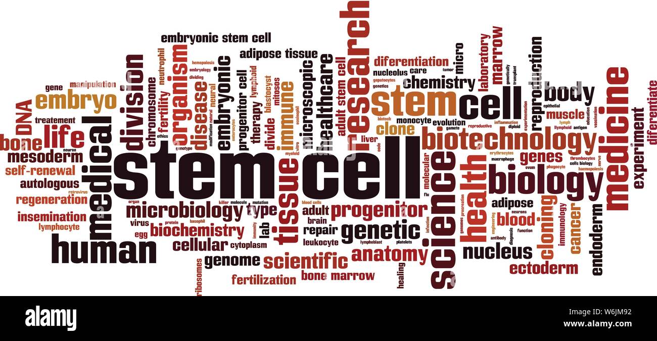 Stem cell word cloud concept. Collage made of words about stem cell. Vector illustration Stock Vector