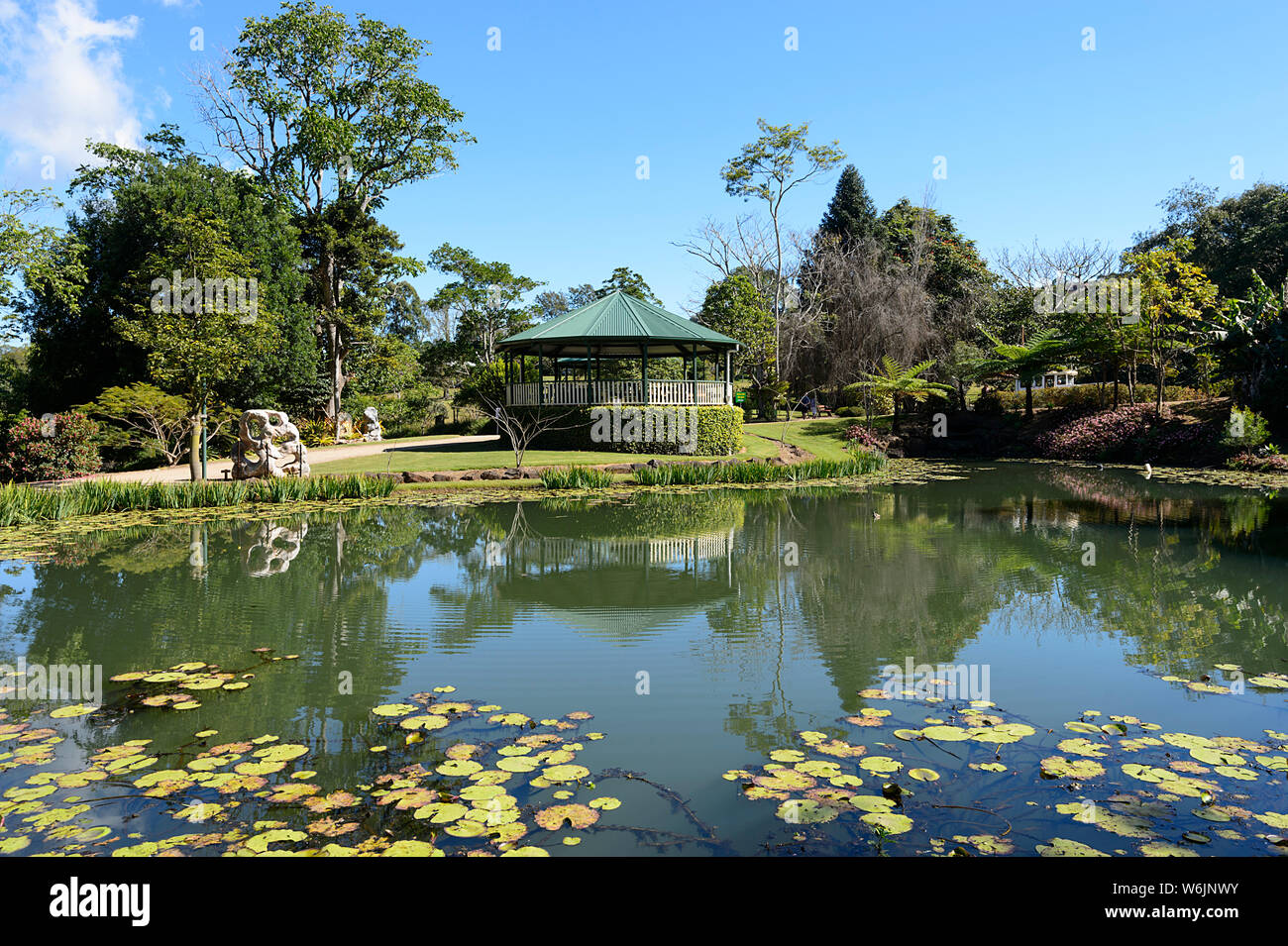 Water Lilies Pond and gazebo in Maleny Botanic Gardens, Queensland, QLD, Australia Stock Photo